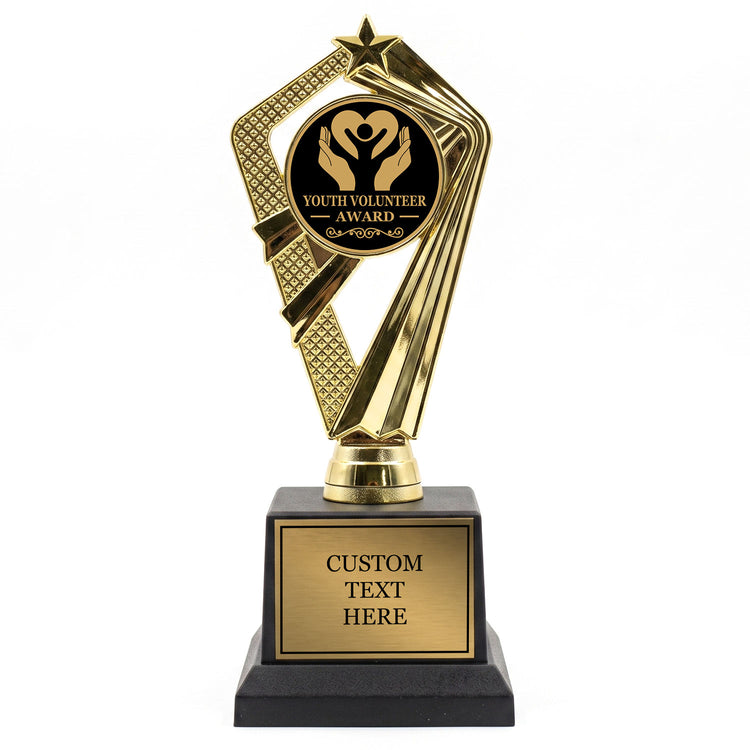 Community & Volunteer Trophy Awards (Service, Hero & More) - Engraved