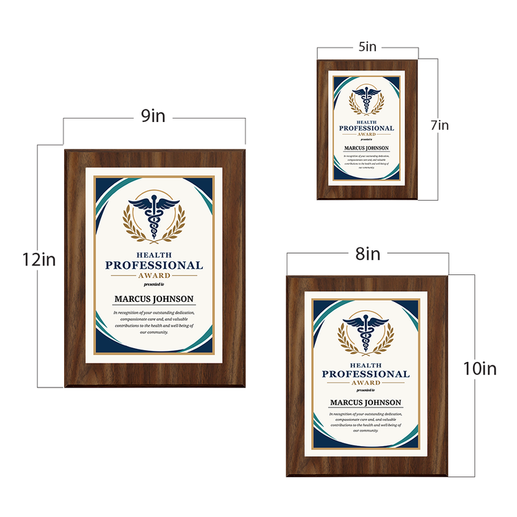 Health Professional Award Personalized Wall Plaque With Easel Acrylic Stand | Professional/Industry Recognition Award Plaques