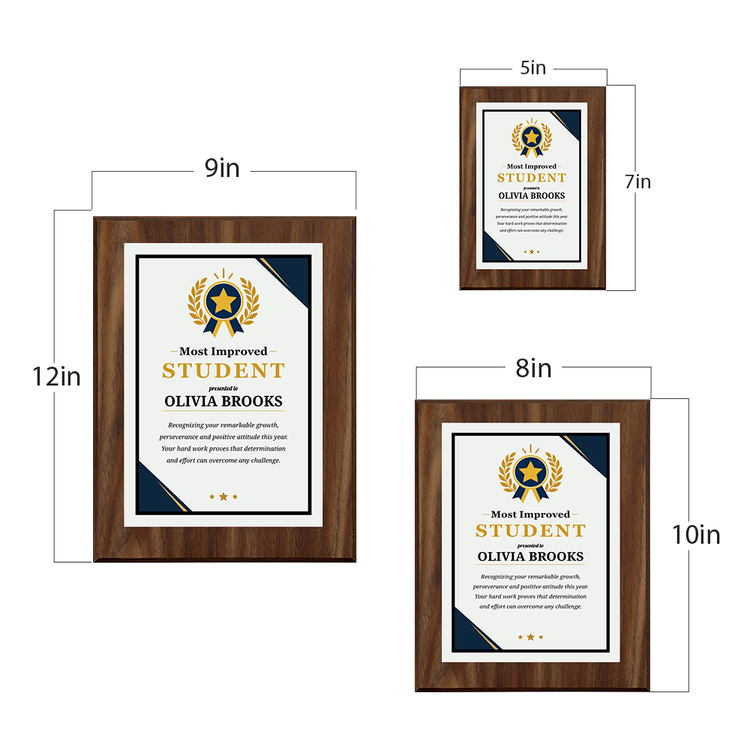 Most Improved Student Award' Personalized Wall Plaque With Easel Acrylic Stand | Education Recognition School Award Plaques