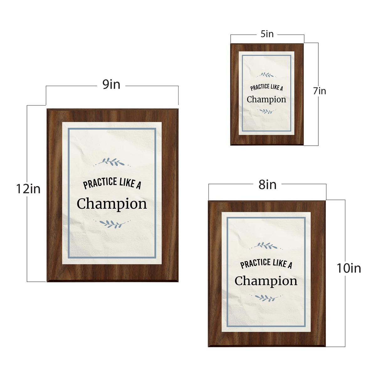 Practice Like a Champion Decorative Wall Plaque With Easel Acrylic Stand | Motivational Decor