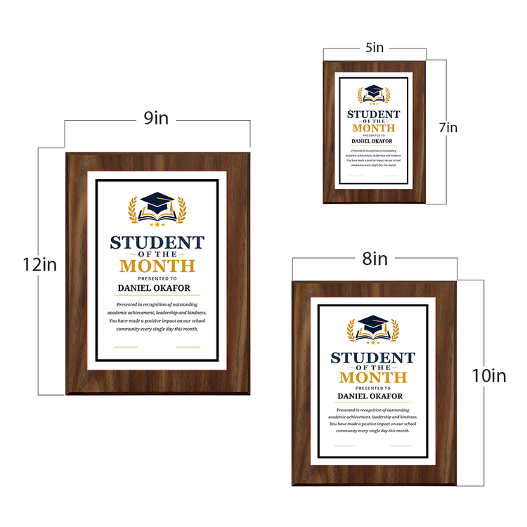 Student of the Month' Award Personalized Wall Plaque With Easel Acrylic Stand | Education Recognition School Award Plaques