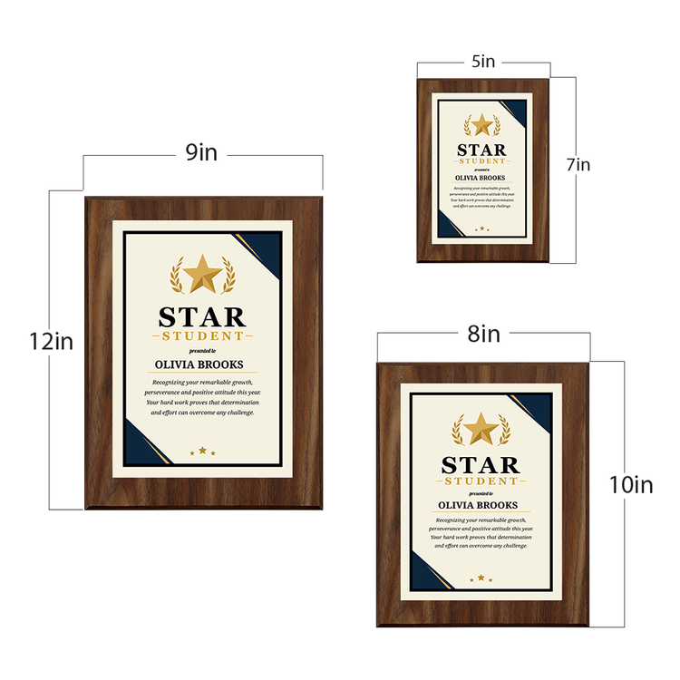 Star Student Award' Personalized Wall Plaque With Easel Acrylic Stand | Education Recognition School Award Plaques