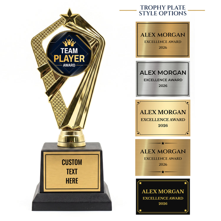 All Quality Team Player Award Trophy, Custom Engraved Star Award — Personalized Teamwork & Sportsmanship Recognition Award