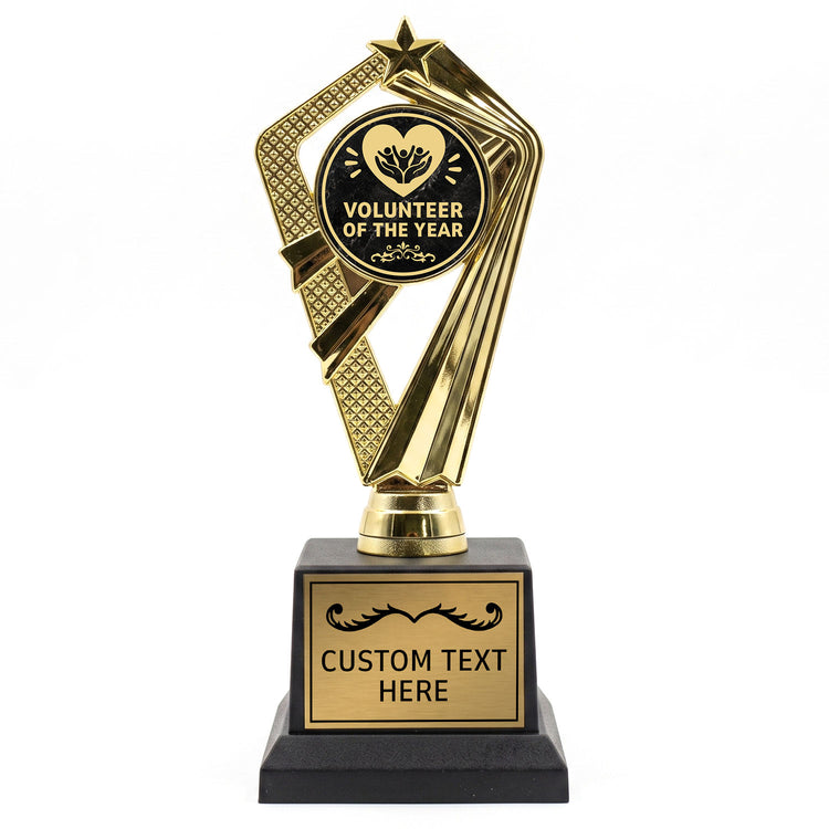 Community & Volunteer Trophy Awards (Service, Hero & More) - Engraved