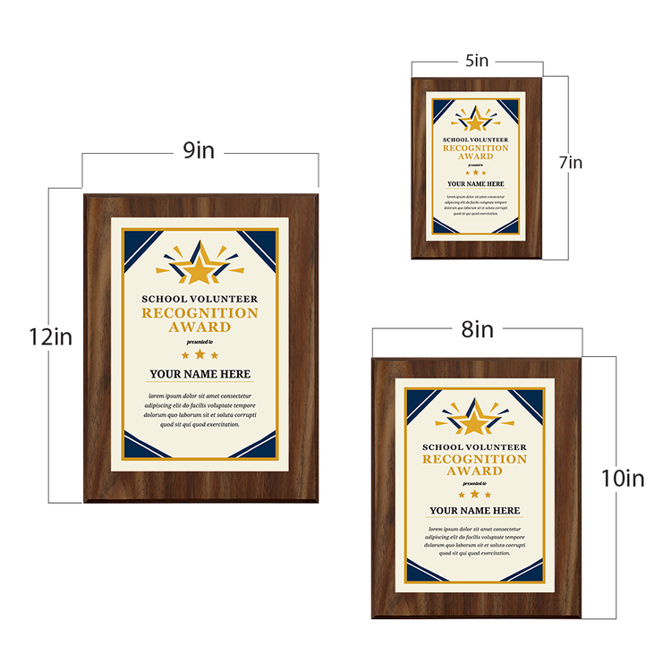 School Volunteer Recognition Award' Personalized Wall Plaque With Easel Acrylic Stand | Education Recognition School Award Plaques